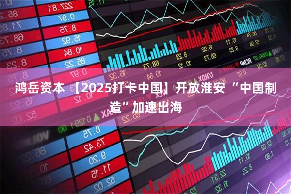 鸿岳资本 【2025打卡中国】开放淮安 “中国制造”加速出海
