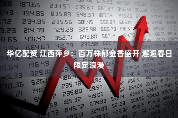 华亿配资 江西萍乡：百万株郁金香盛开 邂逅春日限定浪漫