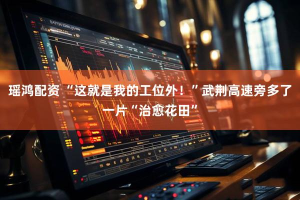 瑶鸿配资 “这就是我的工位外！”武荆高速旁多了一片“治愈花田”